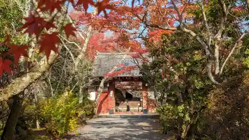 常照寺(京都府)