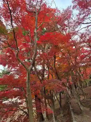 世尊寺(愛知県)