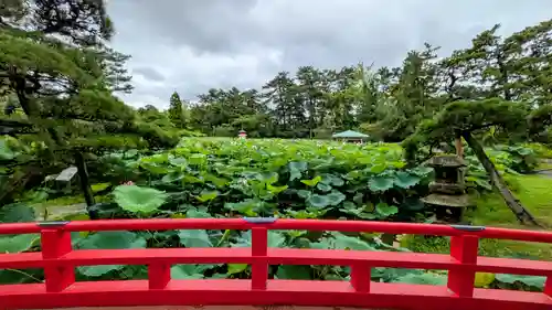白山神社(新潟県)