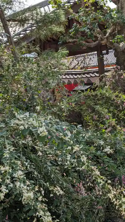 後白河院御聖蹟 法住寺(京都府)