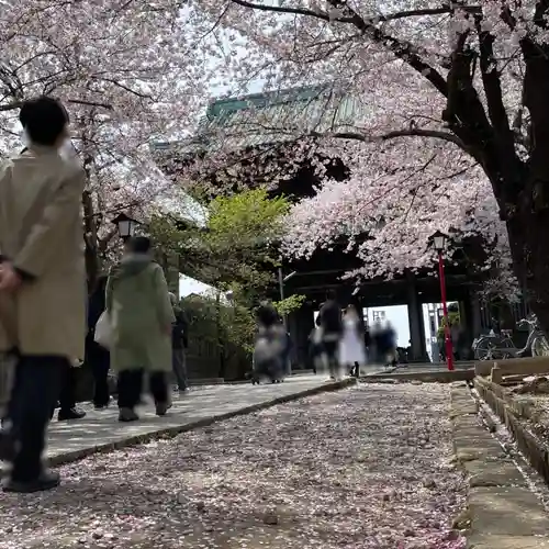 法華経寺(千葉県)