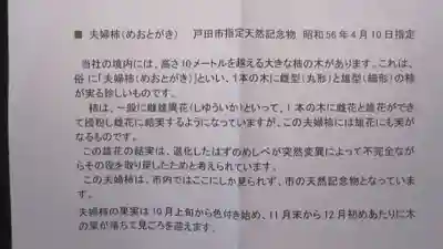 新曽氷川神社(埼玉県)