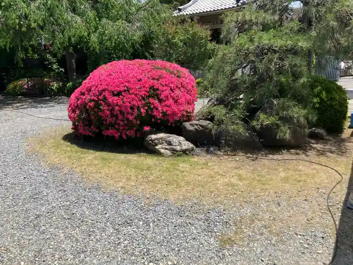 永福寺の{uncategorized: "未分類", other: "その他", undefined: "問題あり", building: "その他建物", grave: "お墓", sacred_gate: "鳥居", guardian: "狛犬", statue: "像", buddha: "仏像", history: "歴史", nature: "自然", garden: "庭園", animal: "動物", pagoda: "塔", temizu: "手水舎", mountain_gate: "山門・神門", sanctuary: "本殿・本堂", subordinate: "末社・摂社", art: "芸術", scenery: "景色", jizo: "地蔵", ema: "絵馬", goshuin: "御朱印", omikuji: "おみくじ", items: "授与品その他", amulet: "お守り", goshuincho: "御朱印帳", eats: "食事", festival: "お祭り", votive_dance: "神楽", shichigosan: "七五三参", wedding: "結婚式", experience: "体験その他", initially: "初詣", around: "周辺", anti_infection: "感染症対策"}