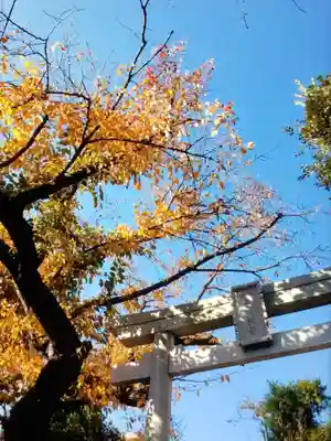 本郷氷川神社(東京都)
