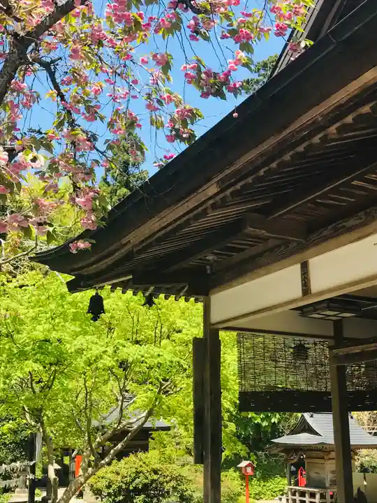 柳津虚空蔵尊 寳性院の本殿・本堂