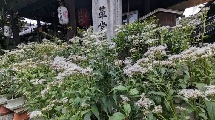 行願寺(革堂)(京都府)