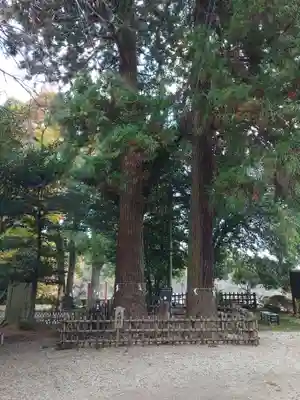 大田原神社(栃木県)