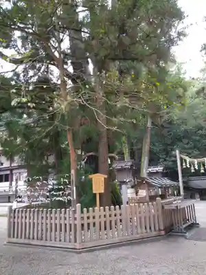 大神神社(奈良県)