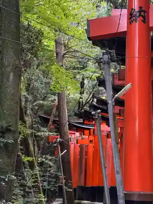 伏見稲荷大社(京都府)