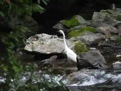 西明寺(京都府)