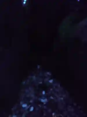 神倉神社（熊野速玉大社摂社）(和歌山県)