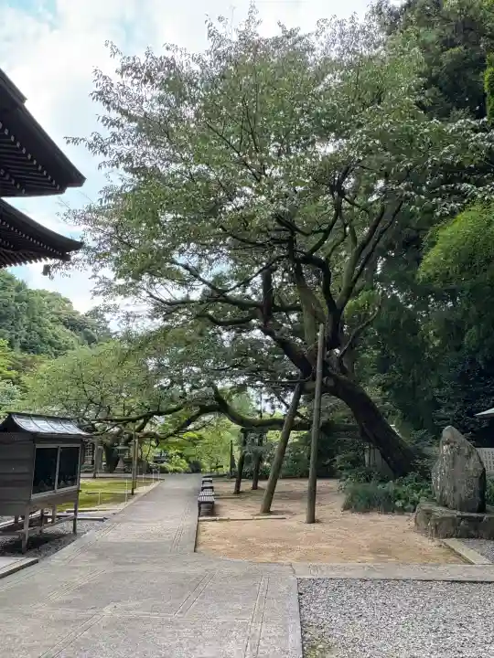 三角寺(愛媛県)