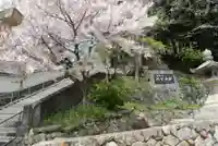 阿智神社の自然