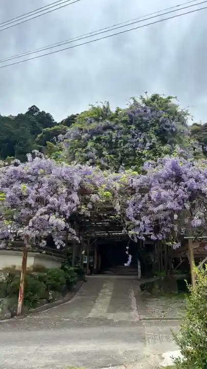 神光寺の{uncategorized: "未分類", other: "その他", undefined: "問題あり", building: "その他建物", grave: "お墓", sacred_gate: "鳥居", guardian: "狛犬", statue: "像", buddha: "仏像", history: "歴史", nature: "自然", garden: "庭園", animal: "動物", pagoda: "塔", temizu: "手水舎", mountain_gate: "山門・神門", sanctuary: "本殿・本堂", subordinate: "末社・摂社", art: "芸術", scenery: "景色", jizo: "地蔵", ema: "絵馬", goshuin: "御朱印", omikuji: "おみくじ", items: "授与品その他", amulet: "お守り", goshuincho: "御朱印帳", eats: "食事", festival: "お祭り", votive_dance: "神楽", shichigosan: "七五三参", wedding: "結婚式", experience: "体験その他", initially: "初詣", around: "周辺", anti_infection: "感染症対策"}