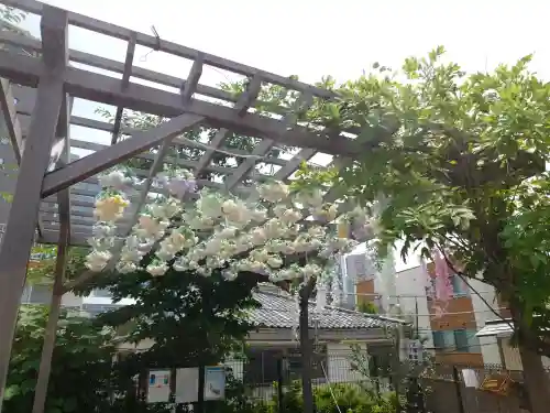 駒込妙義神社(東京都)