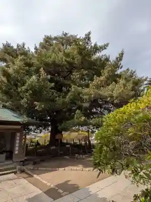 安養院　(田代寺）(神奈川県)