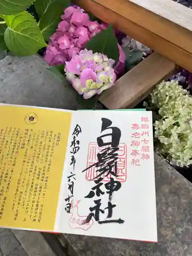 白鬚神社の御朱印