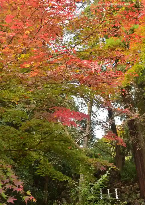 高尾山薬王院(東京都)