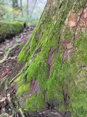 戸隠神社奥社(長野県)
