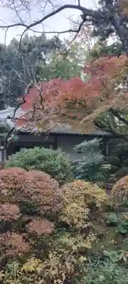 龍潭寺(静岡県)