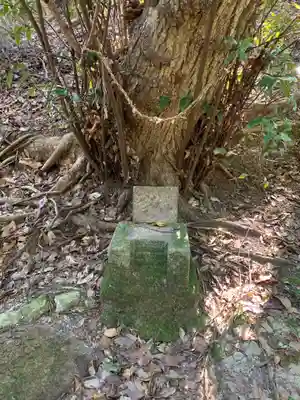 愛宕神社の自然