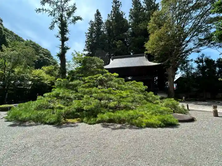 慈雲寺(長野県)