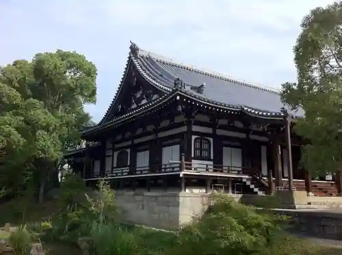 根来寺 智積院の本殿