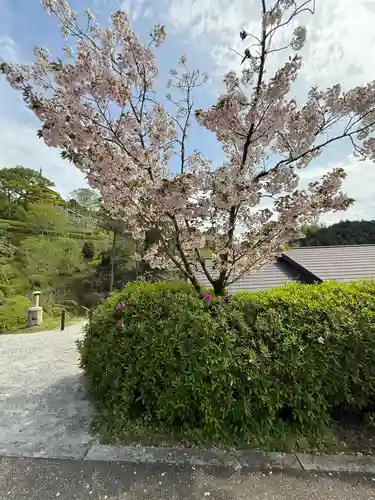 岡寺（龍蓋寺）(奈良県)