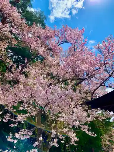 土津神社｜こどもと出世の神さま(福島県)
