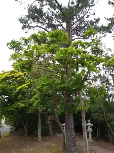 西之宮大神宮の庭園