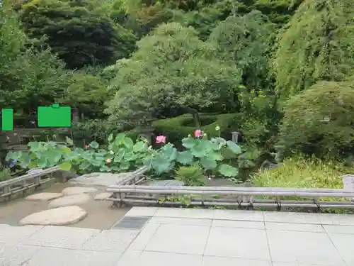 長谷寺(神奈川県)