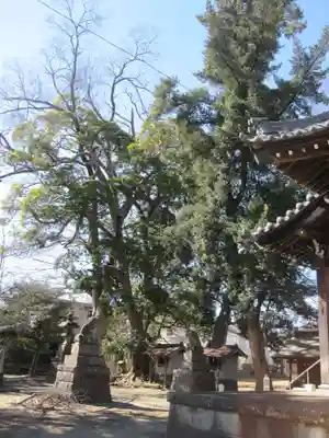 香取神社(埼玉県)