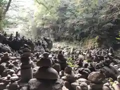 天岩戸神社の自然