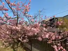 長円寺(京都府)