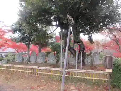 大覚寺(京都府)