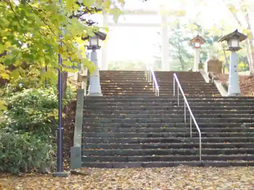 岩内神社の自然