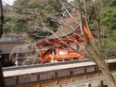 出雲大神宮の本殿・本堂