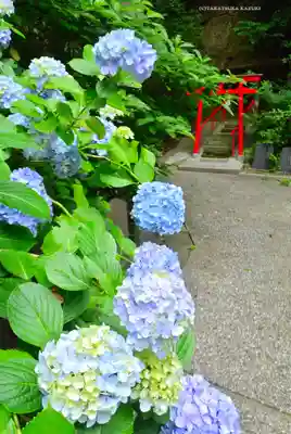 岩殿寺(神奈川県)