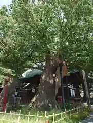 湯福神社(長野県)