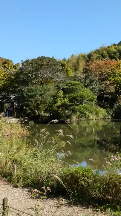 浄瑠璃寺(京都府)