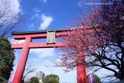 亀戸天神社(東京都)