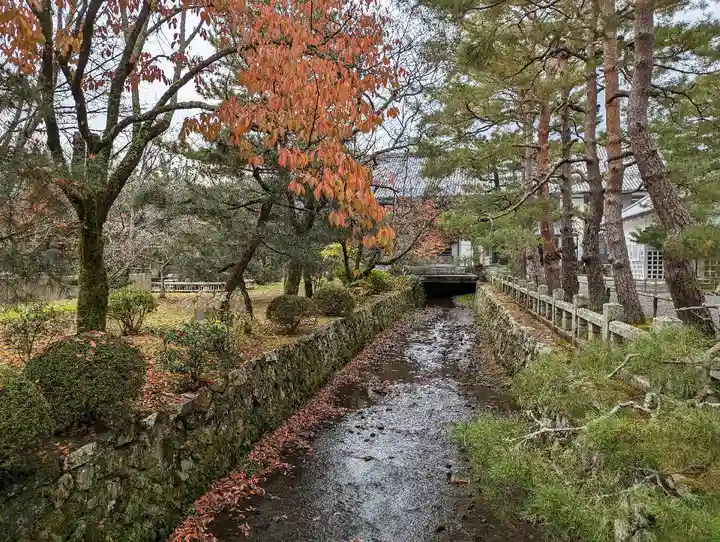 大覚寺(京都府)