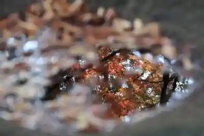 國祖神社の手水舎