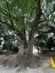 飯野神社(三重県)