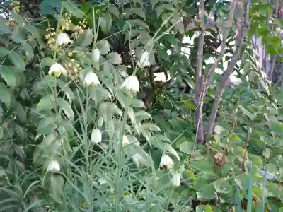 子安地蔵寺の{uncategorized: "未分類", other: "その他", undefined: "問題あり", building: "その他建物", grave: "お墓", sacred_gate: "鳥居", guardian: "狛犬", statue: "像", buddha: "仏像", history: "歴史", nature: "自然", garden: "庭園", animal: "動物", pagoda: "塔", temizu: "手水舎", mountain_gate: "山門・神門", sanctuary: "本殿・本堂", subordinate: "末社・摂社", art: "芸術", scenery: "景色", jizo: "地蔵", ema: "絵馬", goshuin: "御朱印", omikuji: "おみくじ", items: "授与品その他", amulet: "お守り", goshuincho: "御朱印帳", eats: "食事", festival: "お祭り", votive_dance: "神楽", shichigosan: "七五三参", wedding: "結婚式", experience: "体験その他", initially: "初詣", around: "周辺", anti_infection: "感染症対策"}