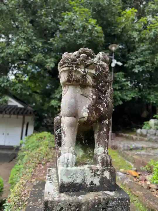 宇治上神社の狛犬