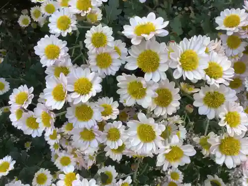 三輪神社の自然