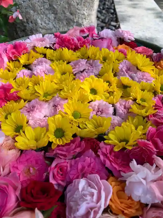 彌都加伎神社の手水舎