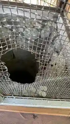 吉祥草寺(奈良県)