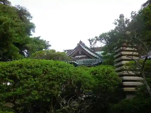 安養院　(田代寺）の本殿・本堂